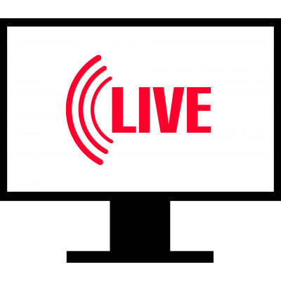 ПРЯМАЯ ТРАНСЛЯЦИЯ В ИНТЕРНЕТ С 3 ВИДЕОКАМЕР